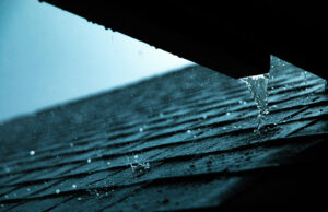 Read more about the article How Rainwater Harvesting Supports ESG Goals in Malaysia